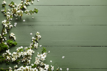 Beautiful blooming spring branches on green wooden backgroundの写真素材
