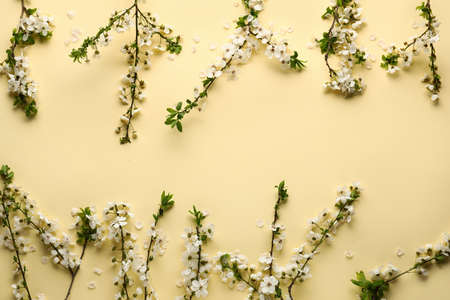 Beautiful blooming spring branches on light color background, top view