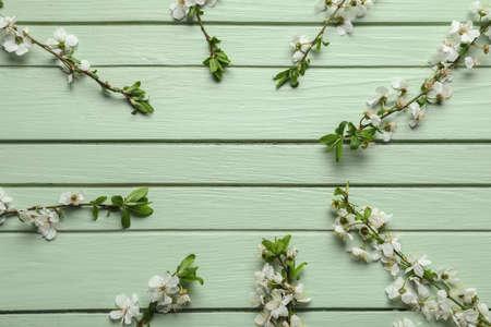 Frame made of beautiful blooming spring branches on green wooden background, top viewの写真素材