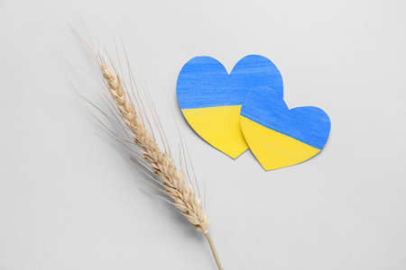 Paper hearts in colors of Ukrainian flag and wheat spikelet on light backgroundの写真素材
