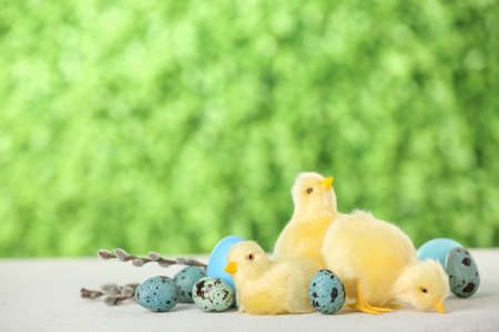 Cute chickens, Easter eggs and pussy willow branches on table outdoors