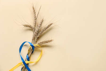 Wheat spikelets and heart made of ribbons in colors of Ukrainian flag on light backgroundの写真素材