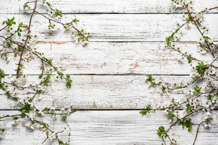 Beautiful blooming spring branches on light wooden background