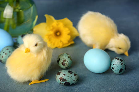 Cute chickens, Easter eggs and flowers on table