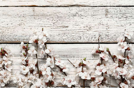 Beautiful blooming spring branches on light wooden background, top viewの写真素材