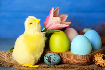 Cute chicken, Easter eggs and flower on tableの写真素材