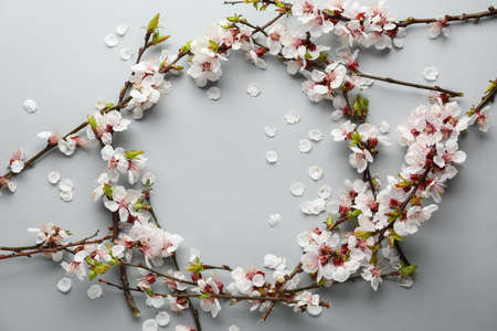 Frame made of beautiful blooming spring branches on light background, top viewの写真素材