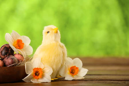 Cute chicken, Easter eggs and flowers on table outdoorsの写真素材