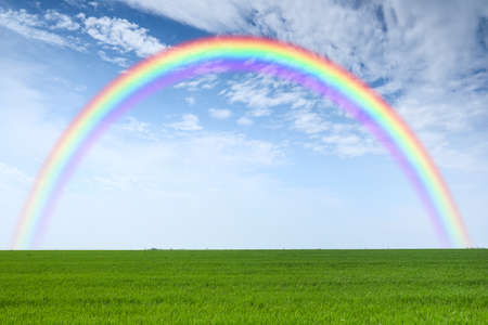 View of field and rainbow in sky on summer day
