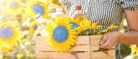 Woman holding box with bottles of oil and sunflowers in field, closeupの写真素材