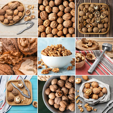 Collage with many tasty walnutsの写真素材