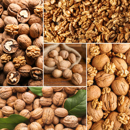 Collage with many tasty walnutsの写真素材