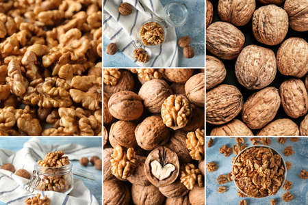 Collage with many tasty walnutsの写真素材