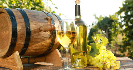 Barrel, glass and bottle of white wine on table in vineyardの写真素材