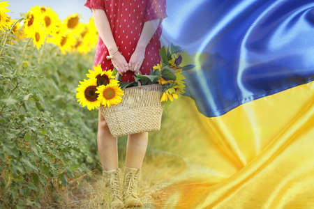 Double exposure of beautiful young woman in sunflower field and flag of Ukraine