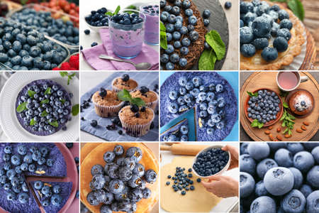 Set of tasty desserts with juicy blueberriesの写真素材