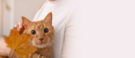 Woman with cute red cat at home on autumn day. Banner design