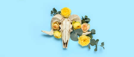 Skull of sheep with flowers on blue background