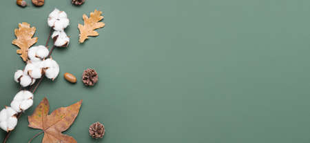 Autumn composition with cotton flowers and leaves on green background with space for text, top viewの写真素材