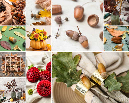 Beautiful autumn collage with eco decorの写真素材