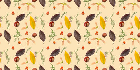 Many autumn leaves, chestnuts, berries and flowers on beige background. Banner design