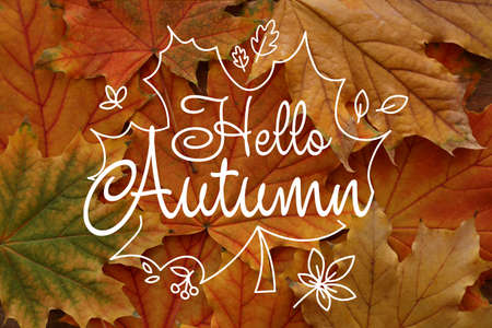 Poster with text HELLO AUTUMN and many leaves