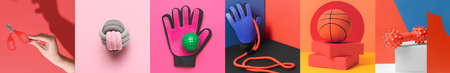 Collage with different pet accessories on color background