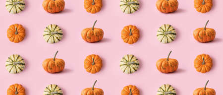 Many pumpkins on pink background. pattern for designの写真素材