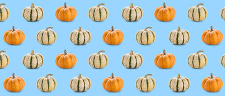 Many pumpkins on light blue background. pattern for designの写真素材