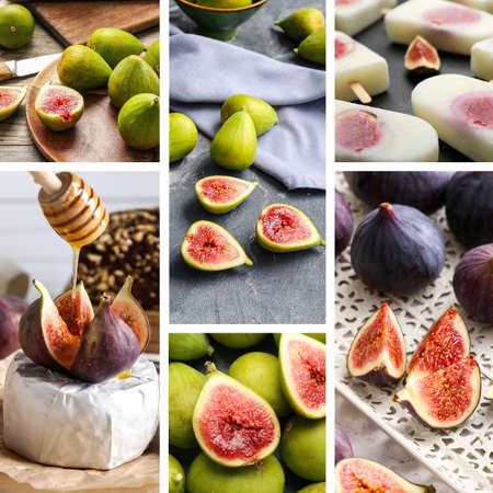 Collage with ripe tasty figs, honey and ice-creamの写真素材