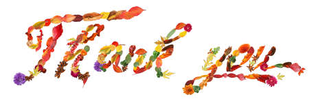 Text THANK YOU made of autumn leaves and flowers on white backgroundの写真素材