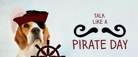 Cute dog and text TALK LIKE A PIRATE DAY on light backgroundの写真素材
