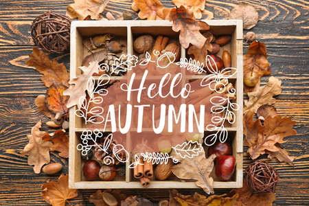 Poster with beautiful autumn composition on wooden backgroundの写真素材