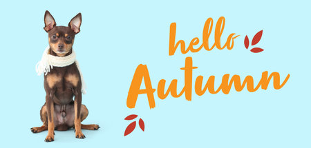 Cute dog with warm scarf and text HELLO, AUTUMN on light blue backgroundの写真素材