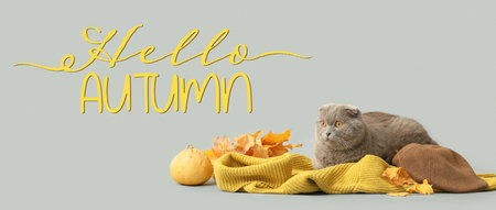 Cute cat, warm clothes, leaves and pumpkin on light background. hello autumnの写真素材