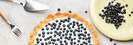 Composition with tasty blueberry pie on light background, top viewの写真素材