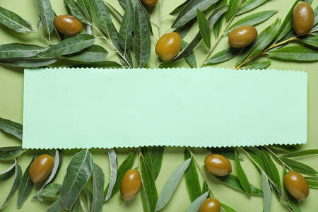 Blank paper sheet with green olives and leaves on color background