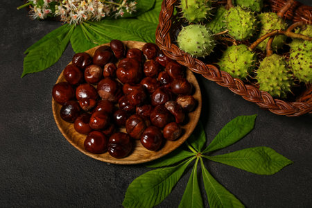 Plate with chestnuts on dark backgroundの写真素材