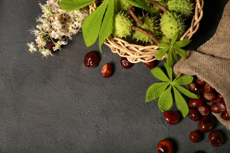 Bag and basket with fresh chestnuts on dark backgroundの写真素材