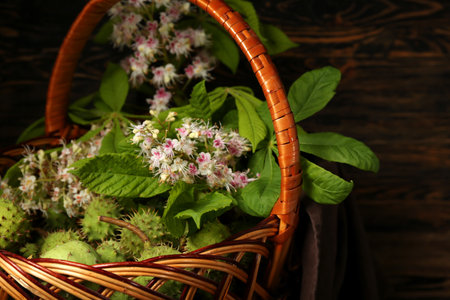 Basket with green chestnuts, leaves and flowers on wooden background, closeupの写真素材