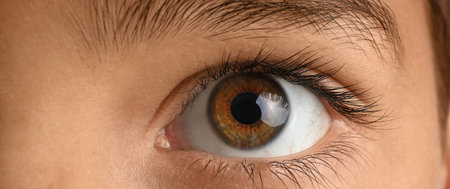 Little boy with brown eyes