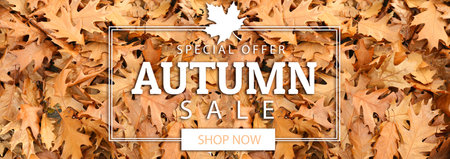 Banner for autumn sale with dry leavesの写真素材