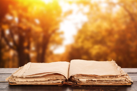 Open old book on wooden table outdoors on autumn dayの写真素材