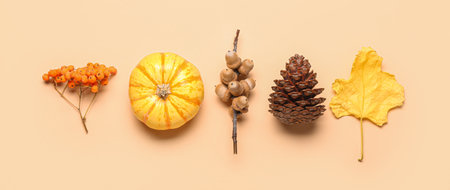 Natural forest decor on beige background, top viewの写真素材