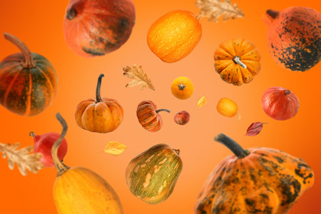 Many flying pumpkins and autumn leaves on orange backgroundの写真素材