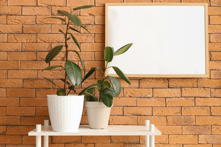 Shelf with green houseplants and blank frame on brick wallの写真素材