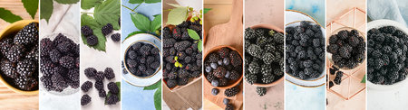 Collage of fresh blackberry on table, top view