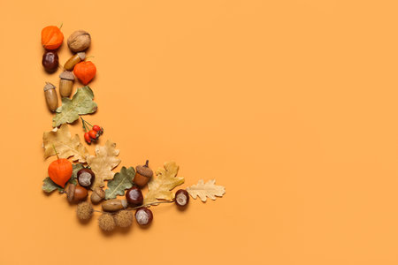 Beautiful composition with natural forest decor on color background