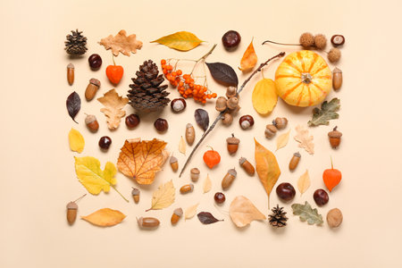 Composition with natural forest decor on color background