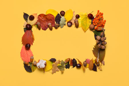 Frame made of natural forest decor on color background